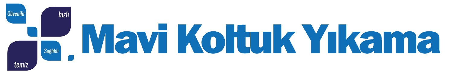 Mavi Koltuk Yikama